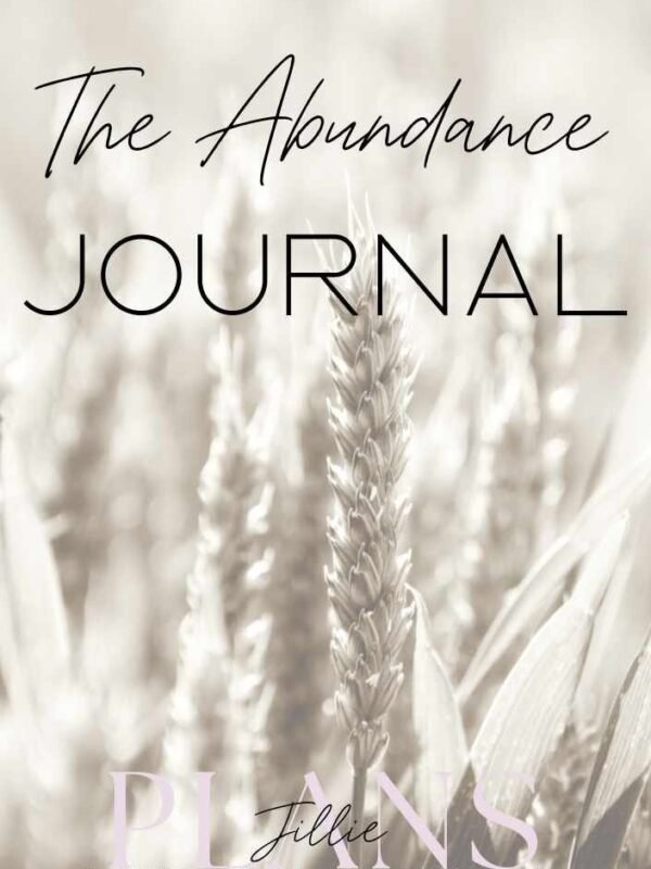 The Abundance Journal